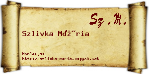 Szlivka Mária névjegykártya